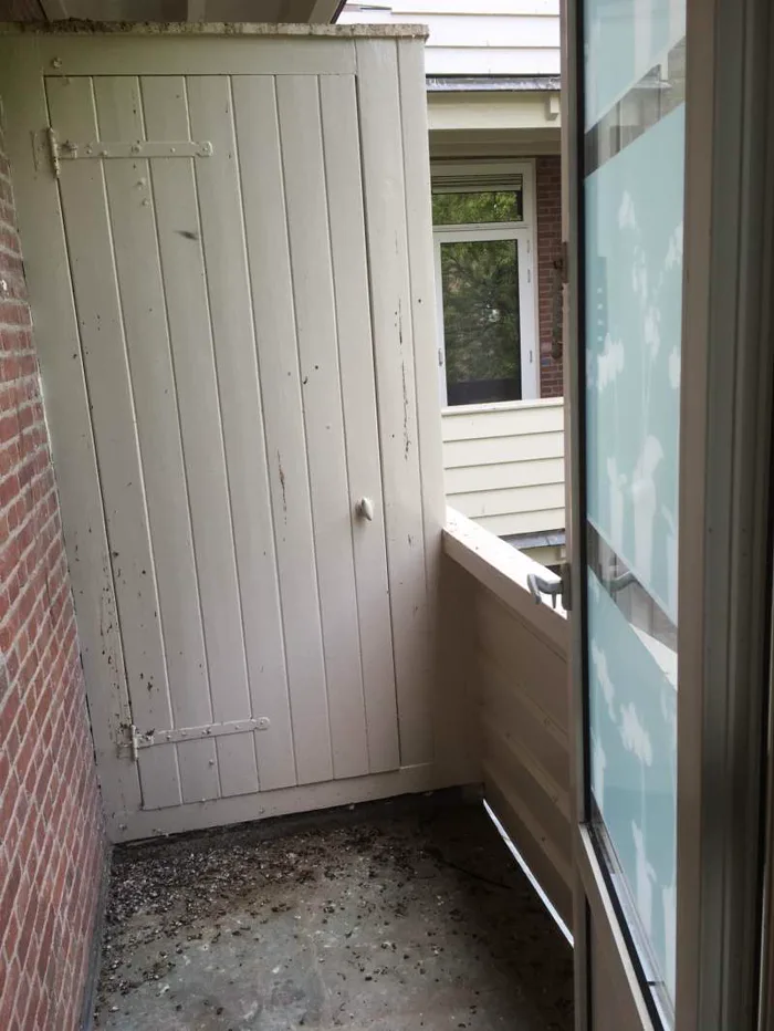 Balkon met vervuiling door vogels vóór reiniging