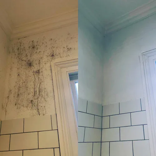 Voor en na schimmelsanering van een wand
